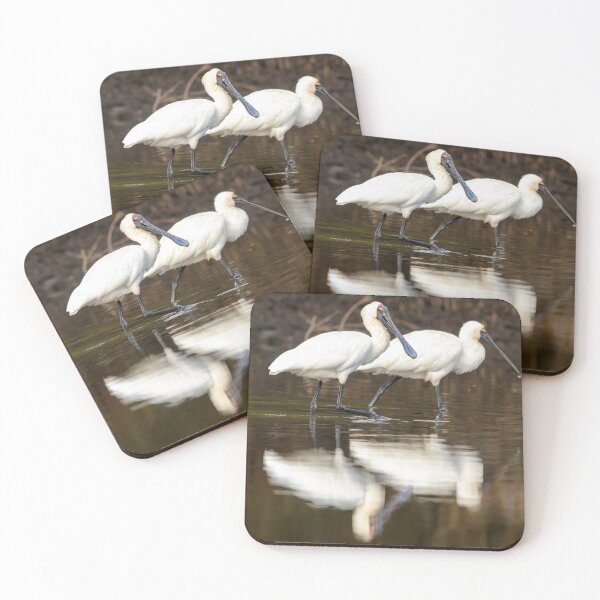Item preview, Royal spoonbills (Platalea regia) designed and sold by Trent Townsend.