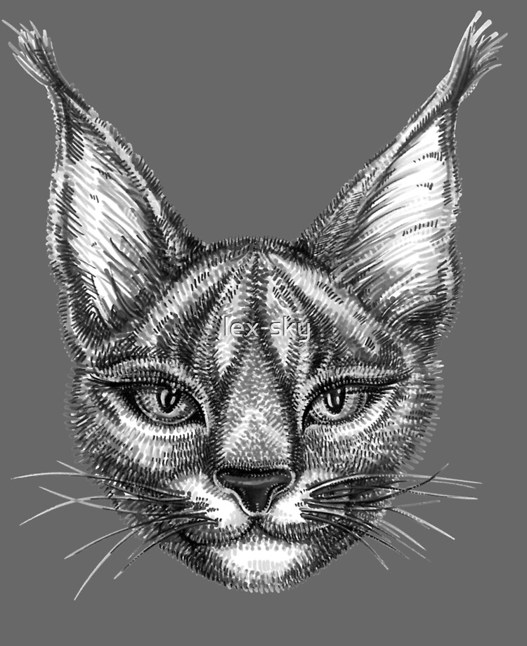 Coque Et Skin Adhesive Ipad Caracal Chat Sauvage Bw Gris Par Lex Sky Redbubble