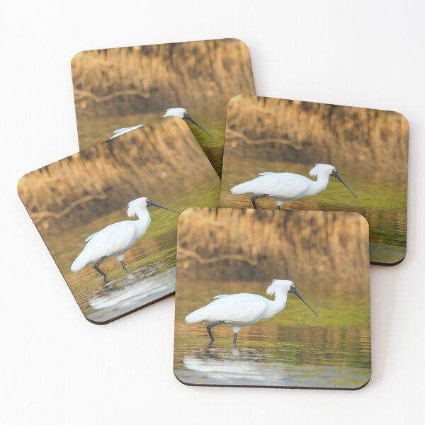 Item preview, Royal spoonbill (Platalea regia) designed and sold by Trent Townsend.