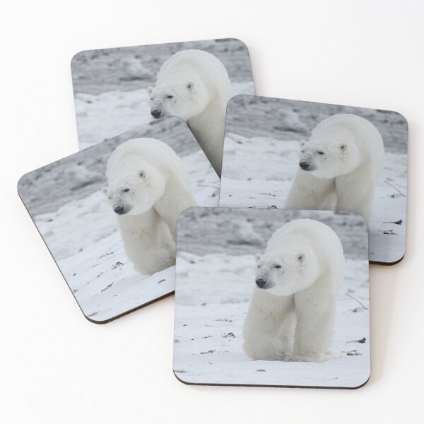Item preview, Polar Bear Walking (Ursus maritimus) designed and sold by liftdesign.