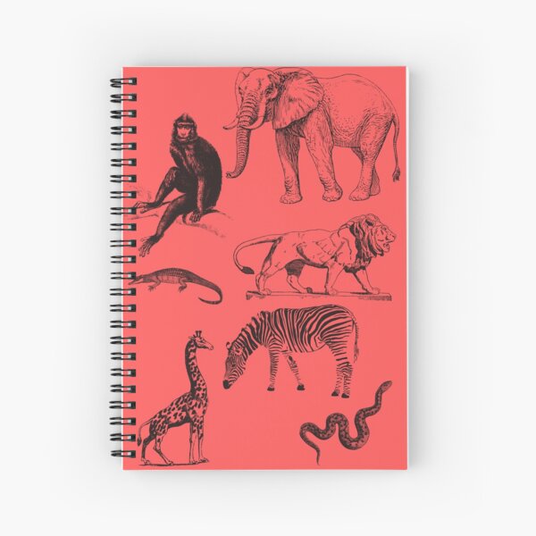 Set de 3 stylos effaçables - Lion, Eléphant, Girafe - Hopono