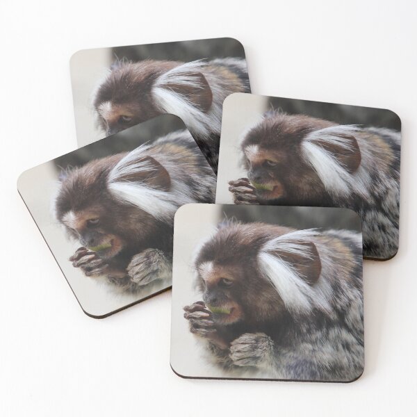 Item preview, marmoset - at Wings Wildlife Park designed and sold by Gaylene Norton.
