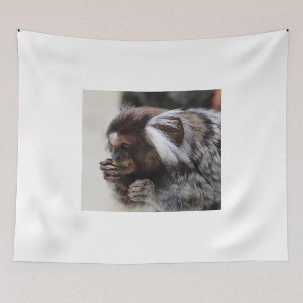 Item preview, marmoset - at Wings Wildlife Park designed and sold by Gaylene Norton.