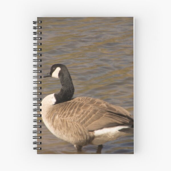Item preview, Goose Gazing designed and sold by christalscamera.