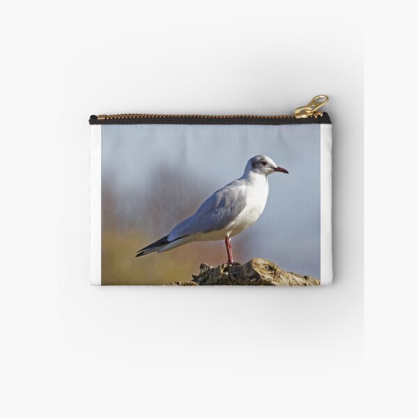 Item preview, Black-headed Gull (Larus ridibundus) designed and sold by Andy Harker.