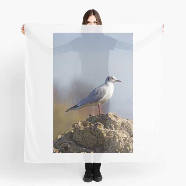 Item preview, Black-headed Gull (Larus ridibundus) designed and sold by Andy Harker.