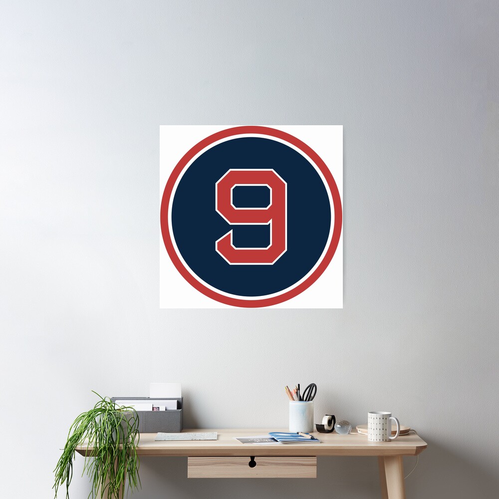 Ted Williams #9 Jersey Number