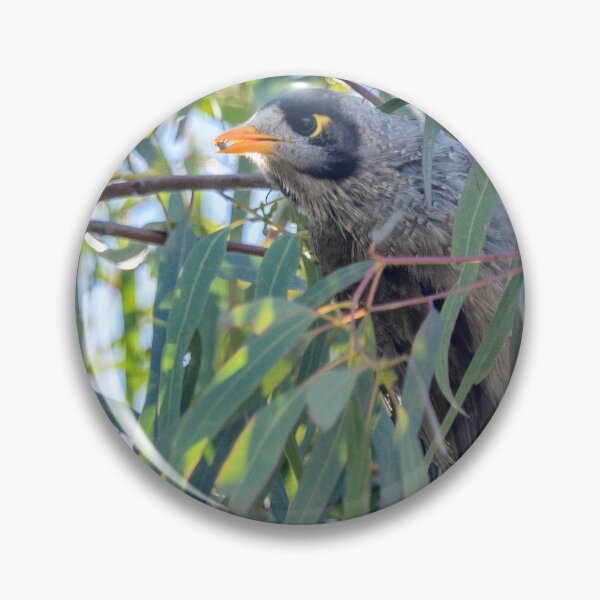 Item preview, Noisy Miner 01 designed and sold by Werner Padarin.