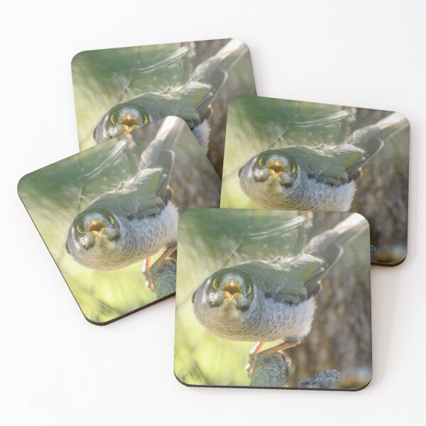 Item preview, Noisy Miner 03 designed and sold by Werner Padarin.