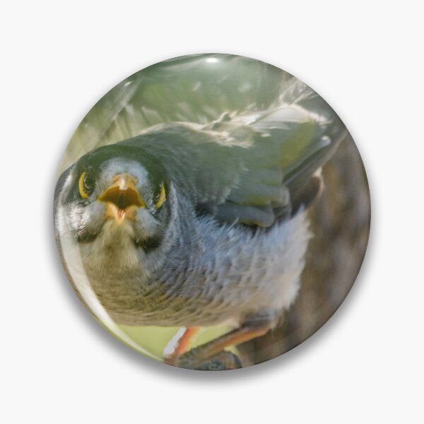 Item preview, Noisy Miner 03 designed and sold by Werner Padarin.