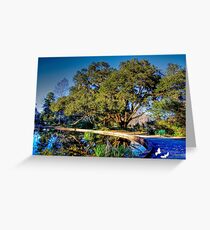 A Pond at Brookgreen Gardens Greeting Card