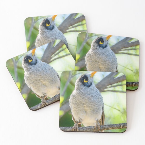 Item preview, Noisy Miner 05 designed and sold by Werner Padarin.