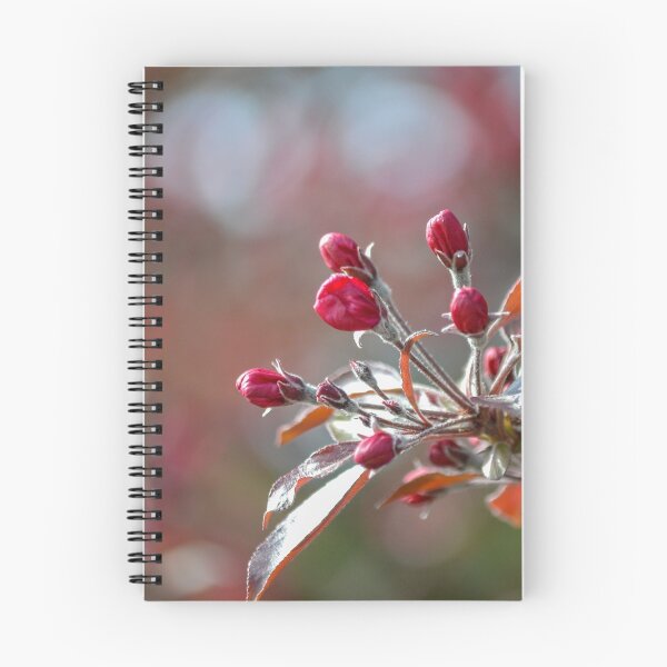 Item preview, Crabapple Blossoms designed and sold by Olimpia Negura.