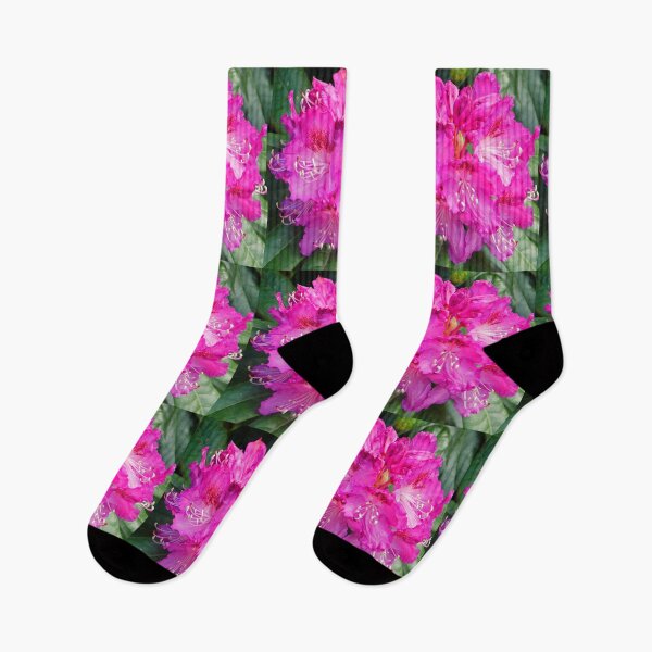 Item preview, Pink Rhododendron, Emu Valley, Tasmania designed and sold by Rosdenphoto.