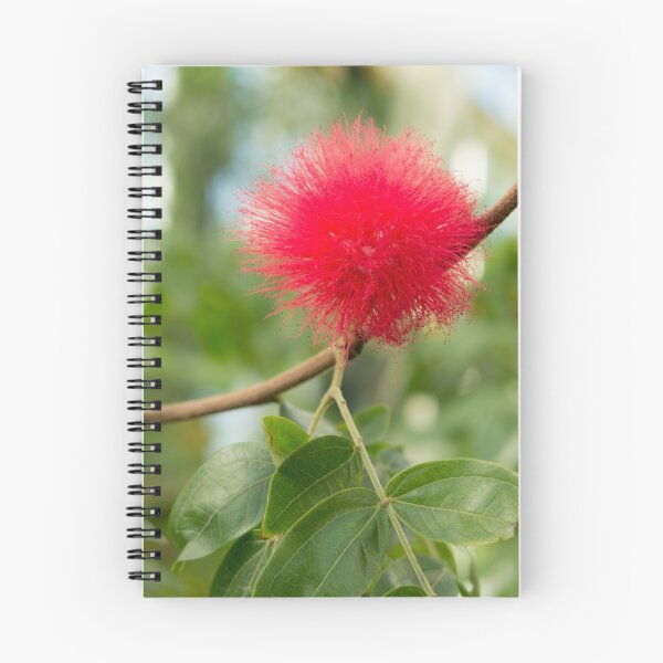 Item preview, Bottle Brush Burst designed and sold by christalscamera.
