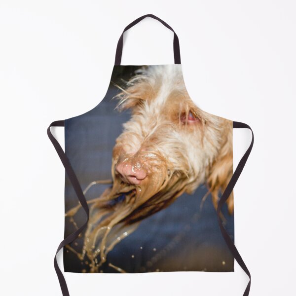 Item preview, Wet beard Slingshot Spinone  designed and sold by FOLK ART FUSION.