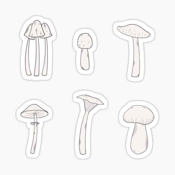 Cute Mushroom Doodles! Sticker