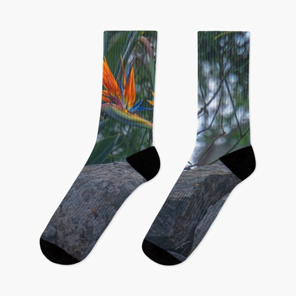 Item preview, Bird of Paradise above the Rockwall designed and sold by Steven Jodoin.