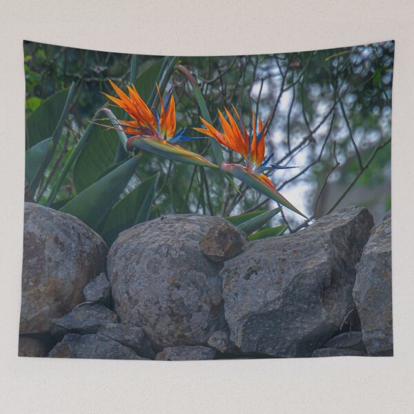Item preview, Bird of Paradise above the Rockwall designed and sold by Steven Jodoin.