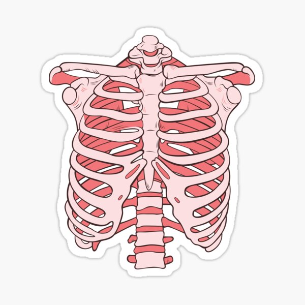 Bubble Gum Ribs Sticker