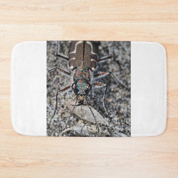 Item preview, Hairy-necked tiger beetle designed and sold by SDym Photography.