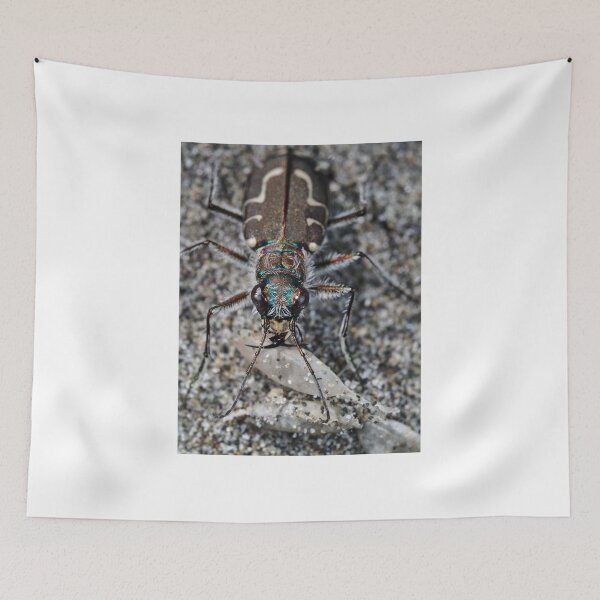 Item preview, Hairy-necked tiger beetle designed and sold by SDym Photography.