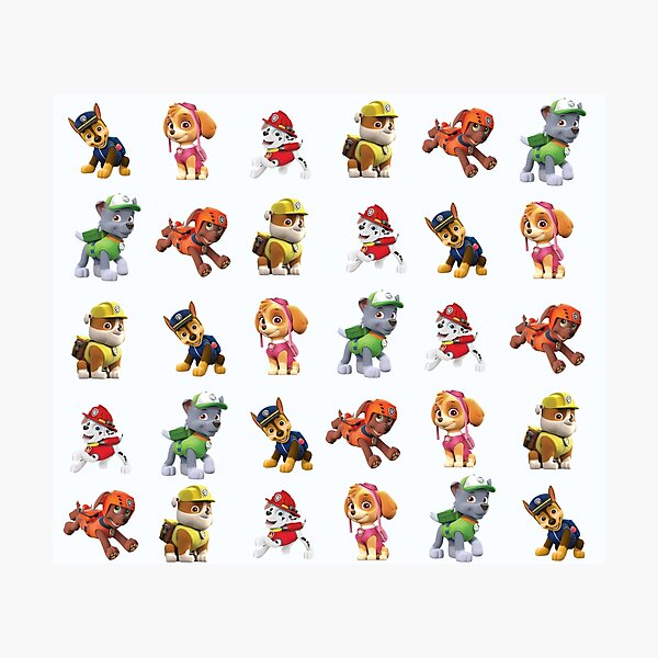 Paw Patrol Photographic Print