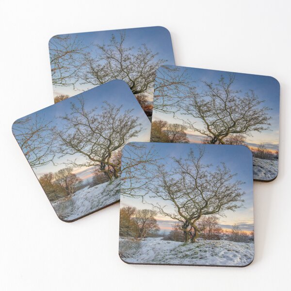 Item preview, Tree at Billinge Woods, Pleasington, Blackburn, Lancashire  designed and sold by Shafiq Khan.