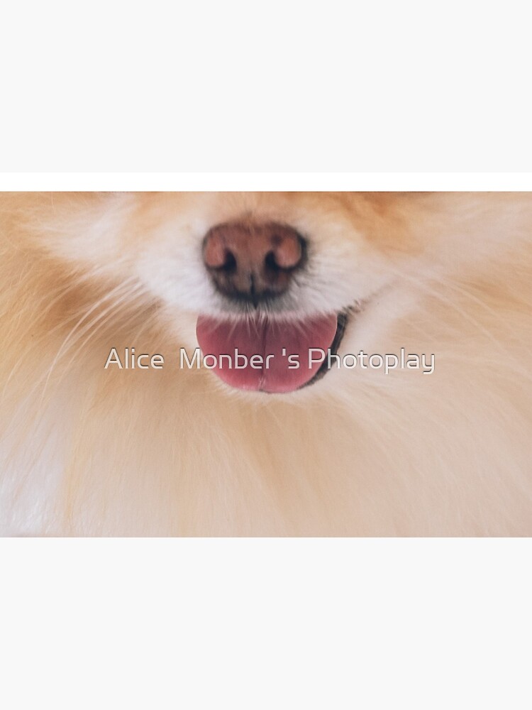 Cute Pomeranian Face Mask by alicemonbercomp