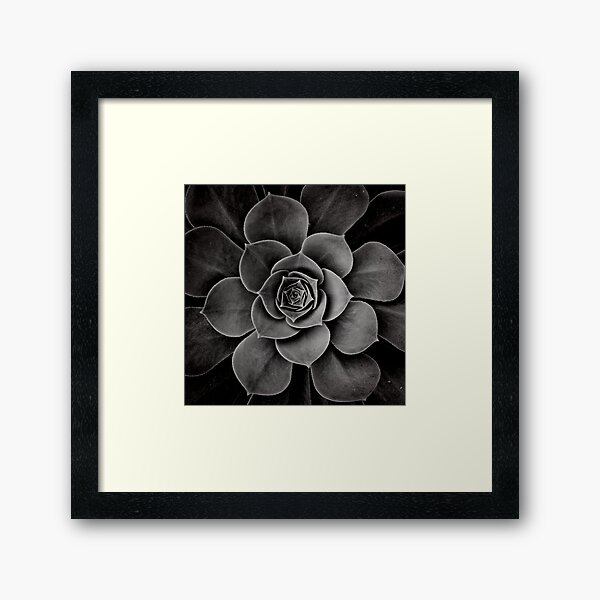 levels of plant Framed Art Print