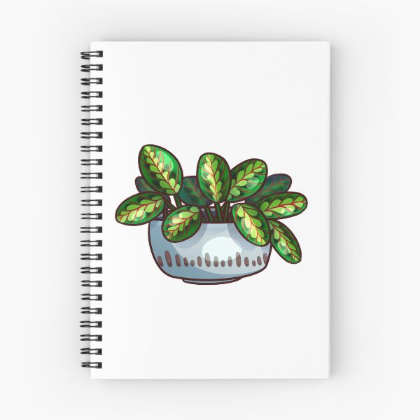 Item preview, Red-veined Prayer Plant designed and sold by mitsun.