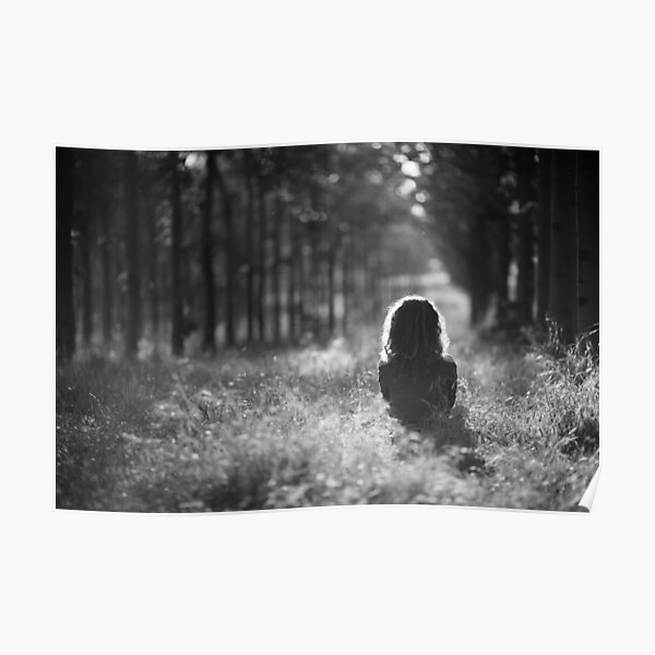 in the forest Poster
