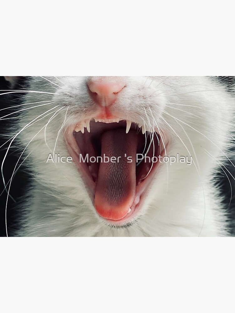 Cat Face Mask by alicemonbercomp