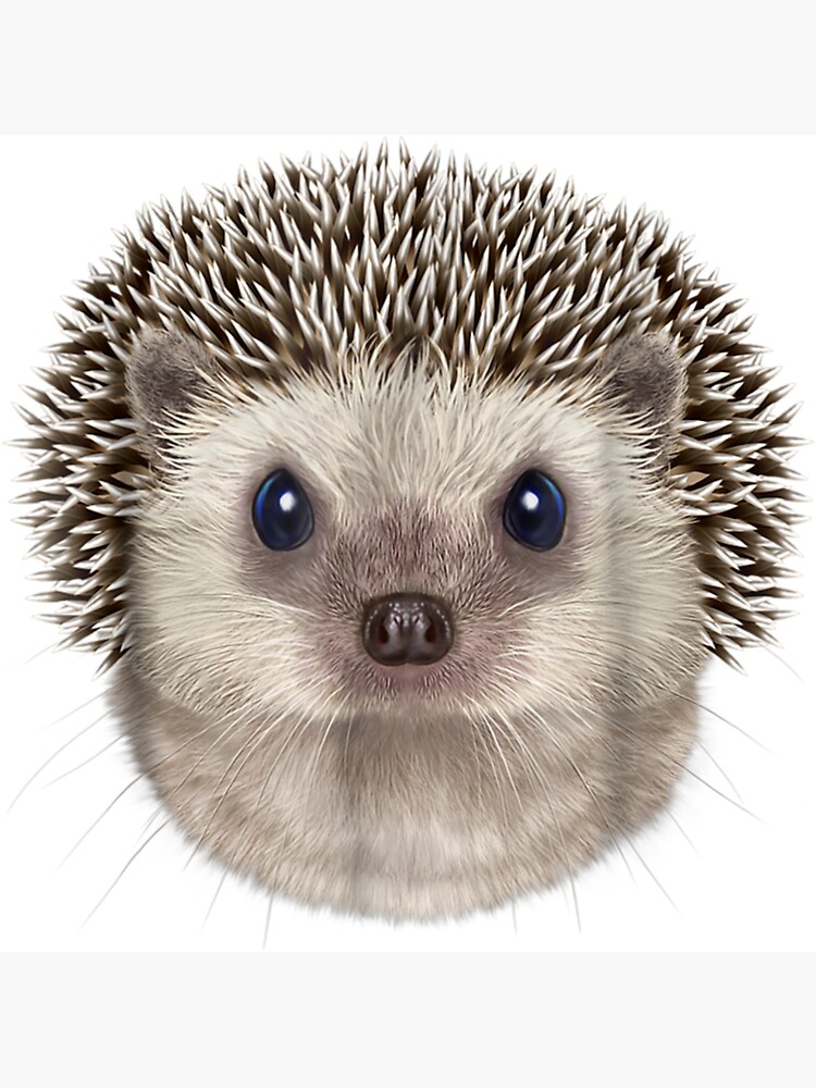 Hedgehogs Strong Neodymium Magnets Adorable Hedgehog Magnets Fun and Fancy Magnets Locker Magnets Pink Hedgehog Magnet Gift