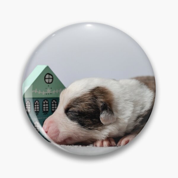 Item preview, The tiny newborn corgi puppy with a small toys. Welsh Corgi Cardigan. designed and sold by Alexander Sorokopud.