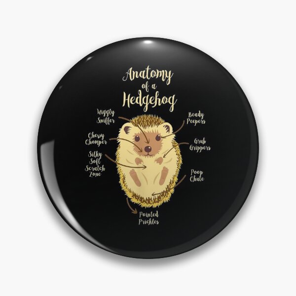 Item preview, Kids Anatomy Of Hedgehogs Clothes Outfit Art Gift Hedgehog designed and sold by YolandaRoberts.