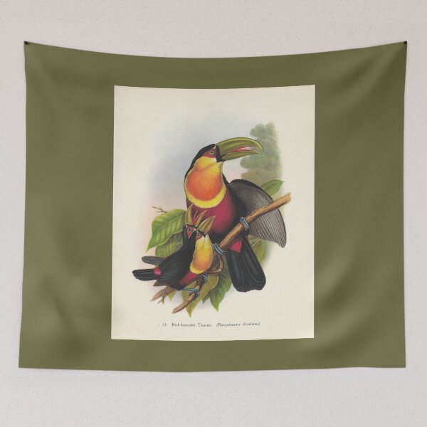 Item preview, Red-breasted Toucan designed and sold by carlarmes.