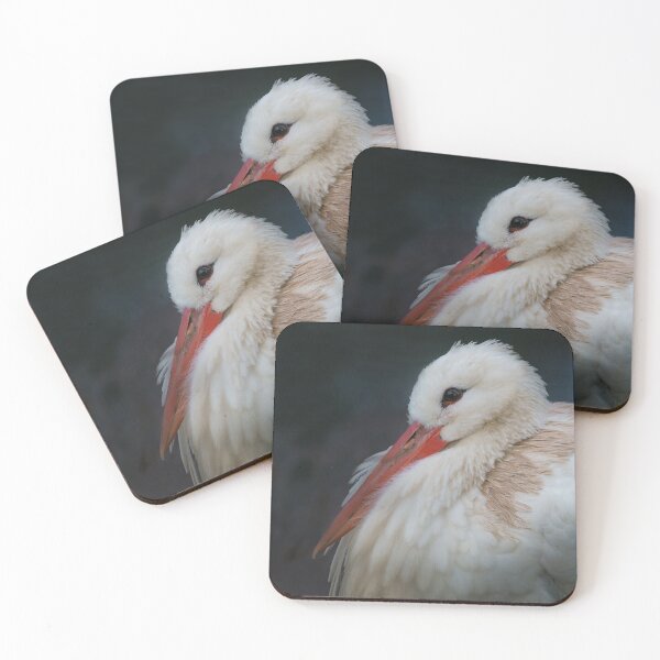 Item preview, White stork designed and sold by rawshutterbug.