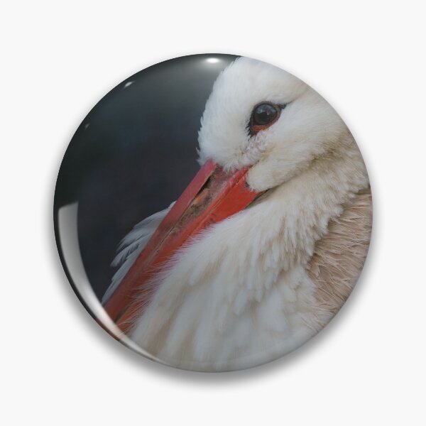 Item preview, White stork designed and sold by rawshutterbug.