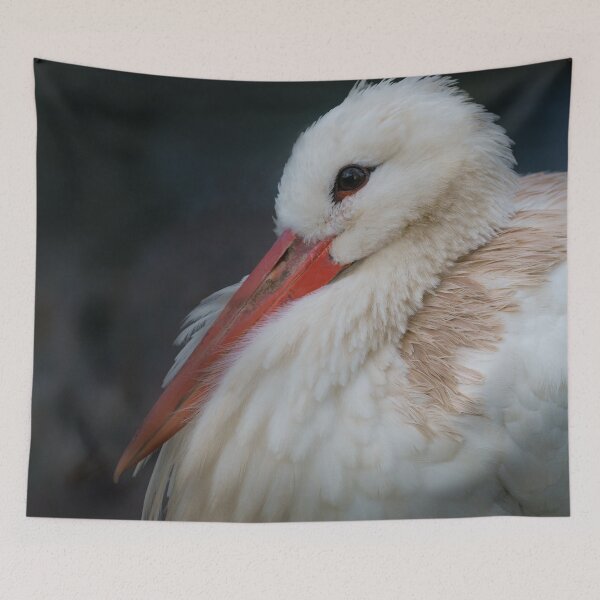 Item preview, White stork designed and sold by rawshutterbug.