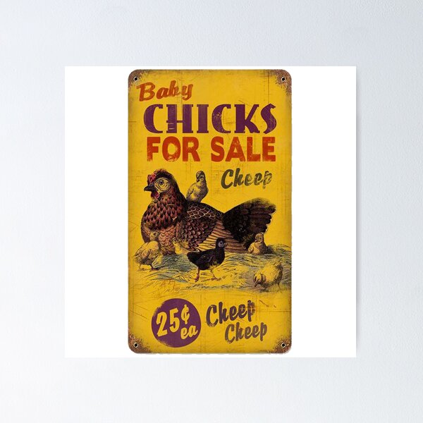 Vista previa del artículo con la obra «Cartel de pollo vintage», diseñado y vendido por ApiStore.