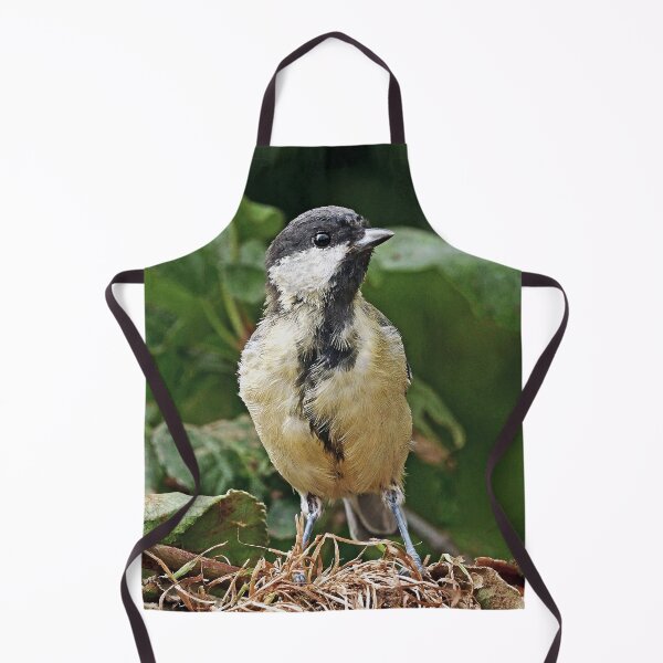 Item preview, r1483/ New Finition - 2021 - mésange b 31 (c)(t) Olavia-Olao Okaio Créations designed and sold by o.okaïo.