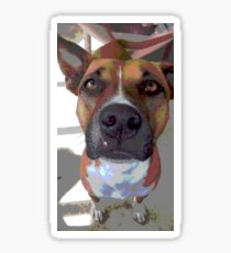 pit bull Sticker