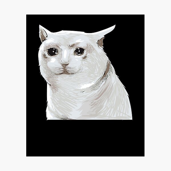 Impressions Photo Sur Le Theme Meme De Chat Triste Redbubble
