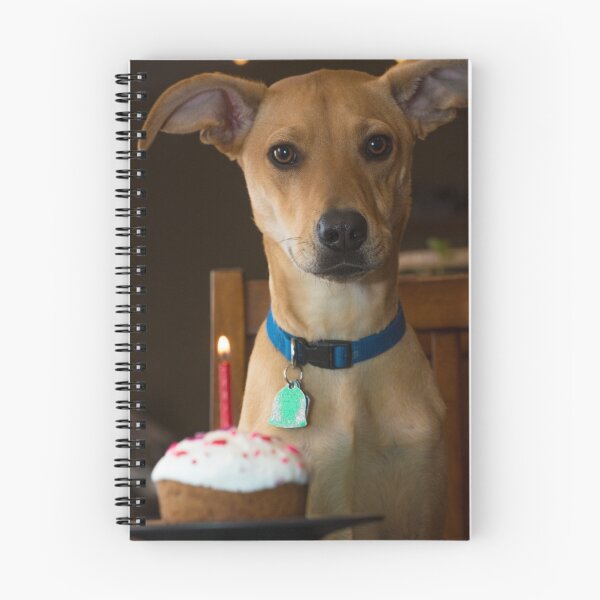 Item preview, Birthday Boy designed and sold by Casey VanDehy.