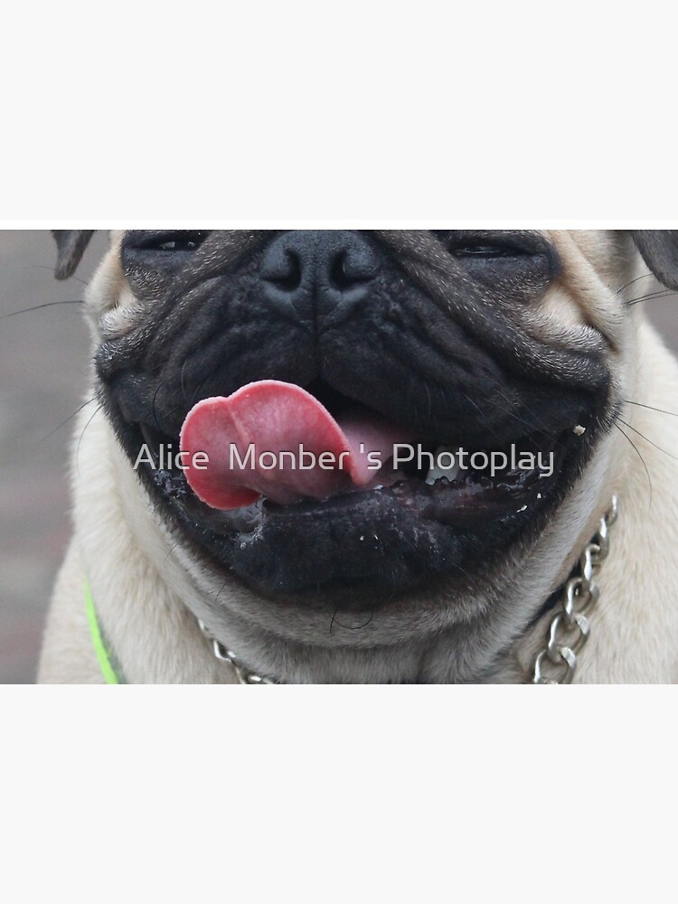 Pug Face Mask by alicemonbercomp