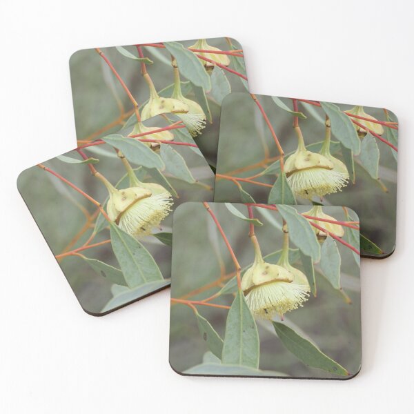 Item preview, Yellow Flowering Gum designed and sold by diflyhi.