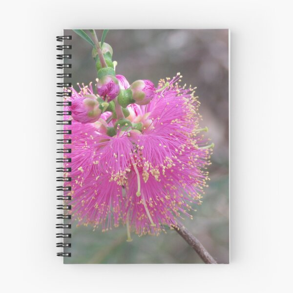 Item preview, Hot Pink Honey Myrtle designed and sold by diflyhi.