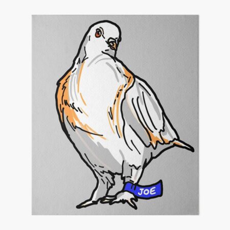 Pigeon Drip Jacket Meme Art Board Print for Sale by Rzera