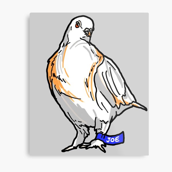 Pigeon Drip Jacket Meme Metal Print for Sale by Rzera